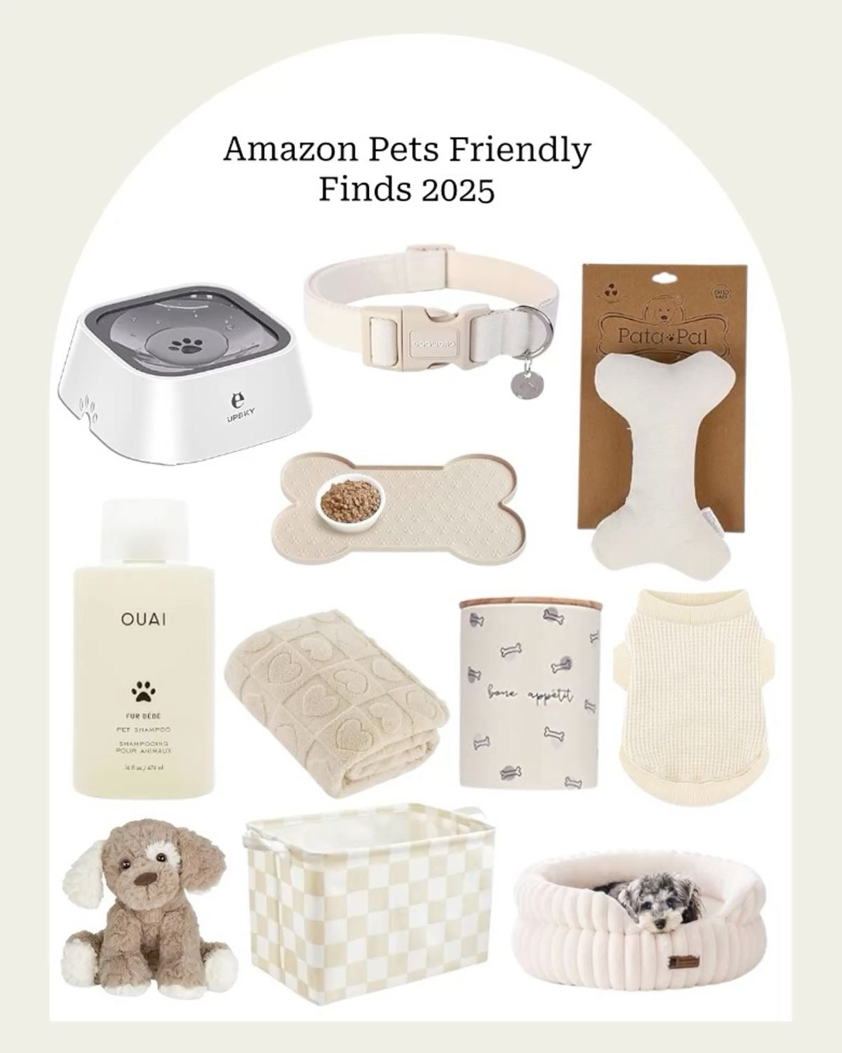Pet Accessories & Wellness